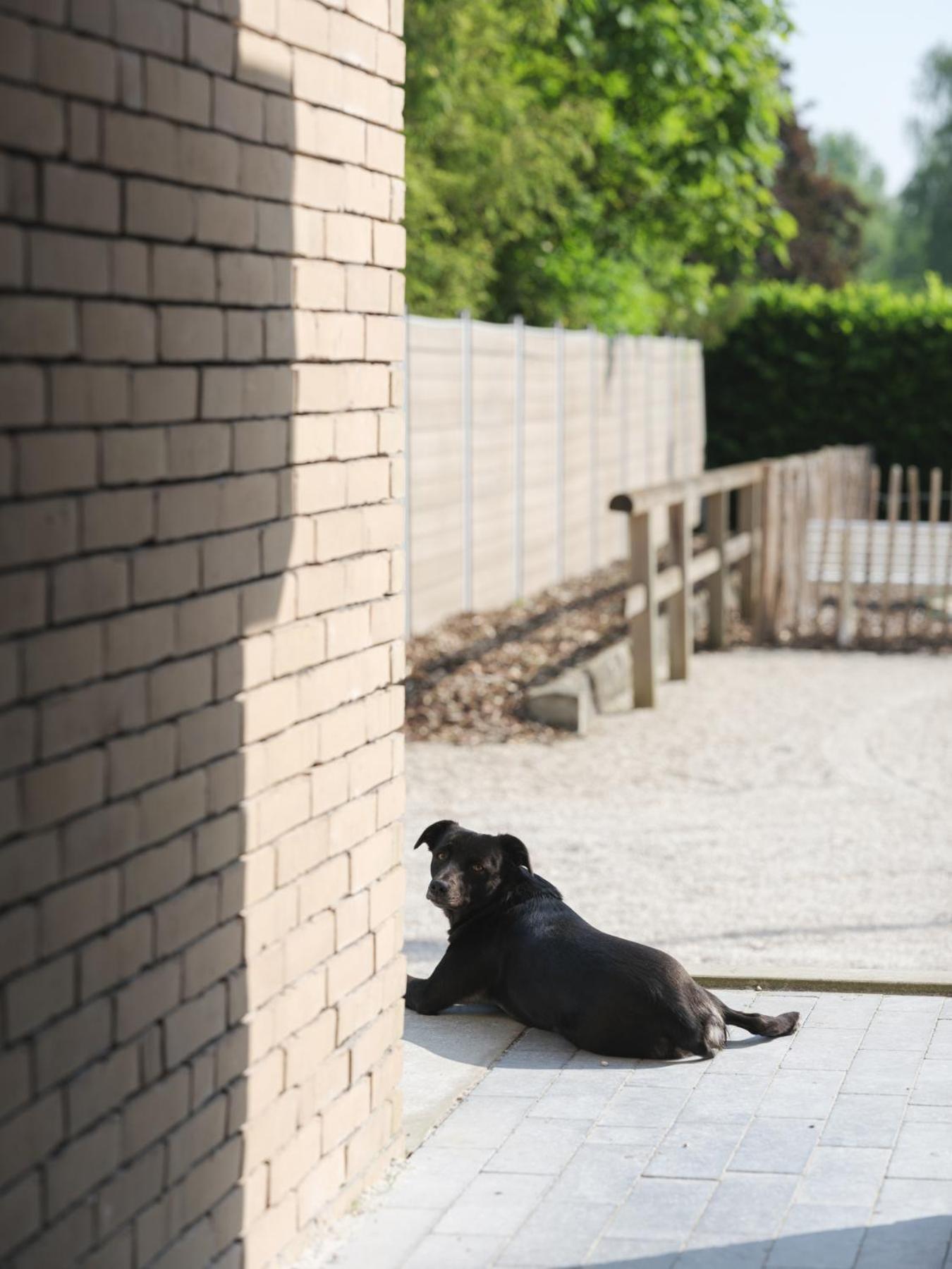 B & B St-Hubert Sint-Martens-Lennik エクステリア 写真